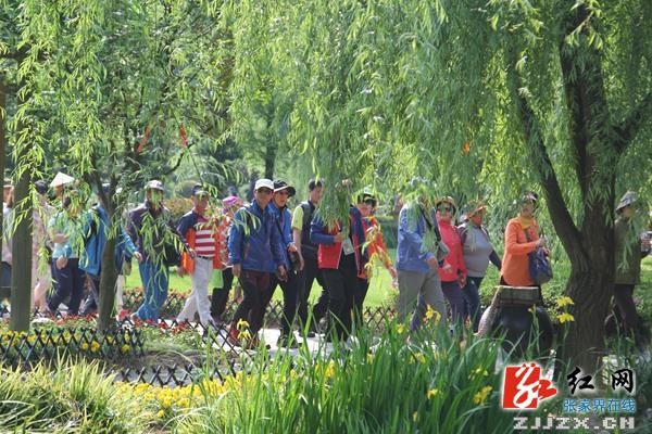 中國旅游日：張家界黃龍洞廣場“花花世界”喜迎游人（組圖）